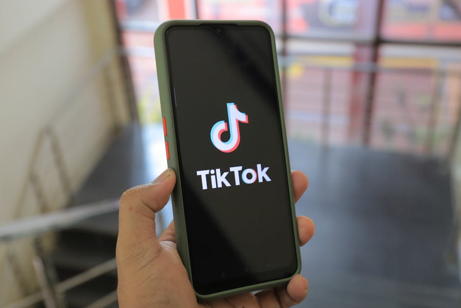 Netflix Tarzı Platform Kurma